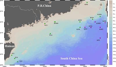 Ecological Distribution and Diversity of Key Functional Genes for Denitrification in Surface Sediments of the Northern South China Sea: Implications for Potential N2O Emissions